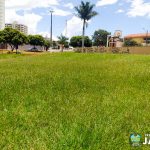 Prefeitura de Jataí realiza mutirão de poda e limpeza na Praça da Bíblia