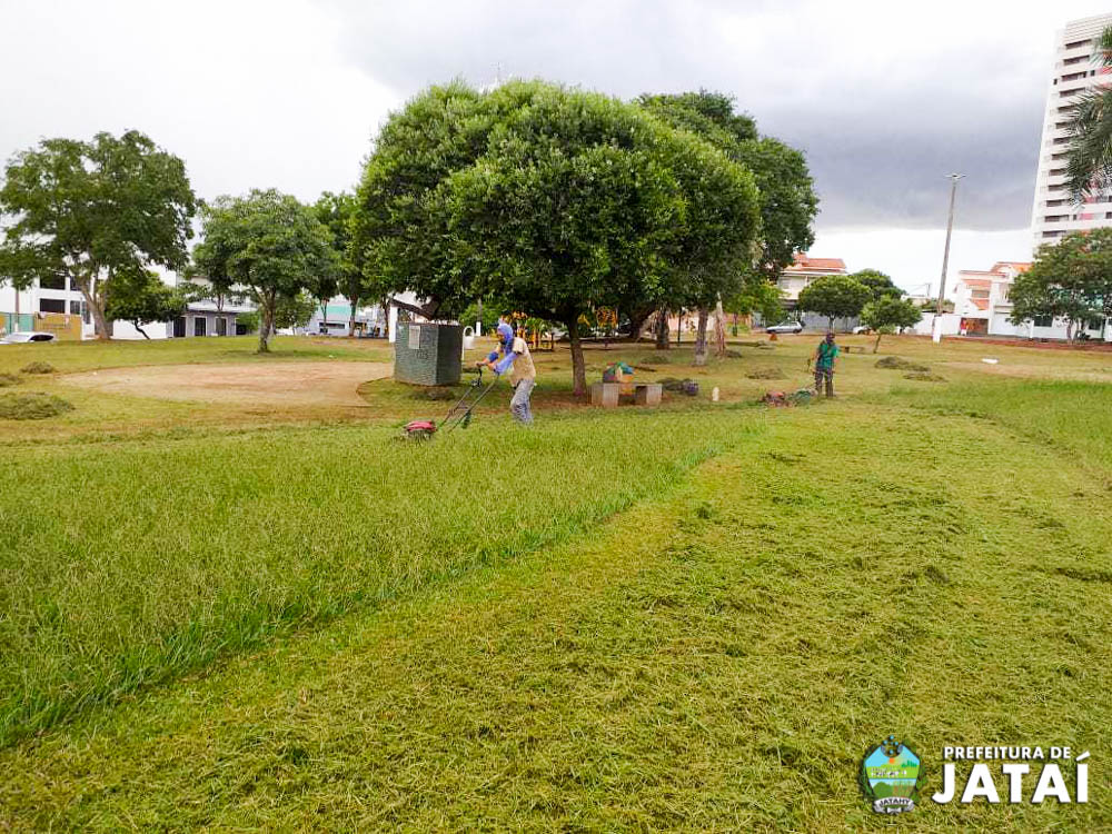 Prefeitura de Jataí realiza mutirão de poda e limpeza na Praça da Bíblia