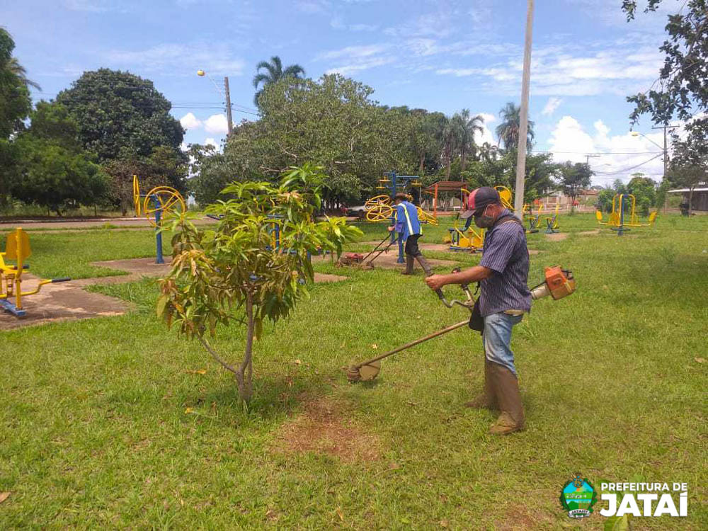 Prefeitura de Jataí realiza mutirão de poda e limpeza em alguns