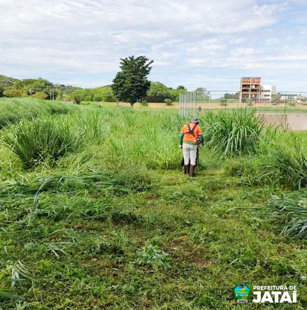 Prefeitura de Jataí realiza mutirão de poda e limpeza no Lago JK