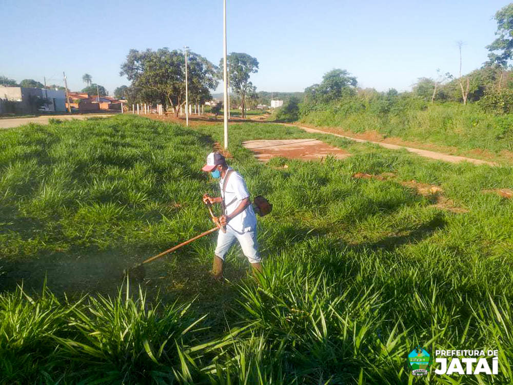 Prefeitura de Jataí realiza mutirão de poda e limpeza no Setor