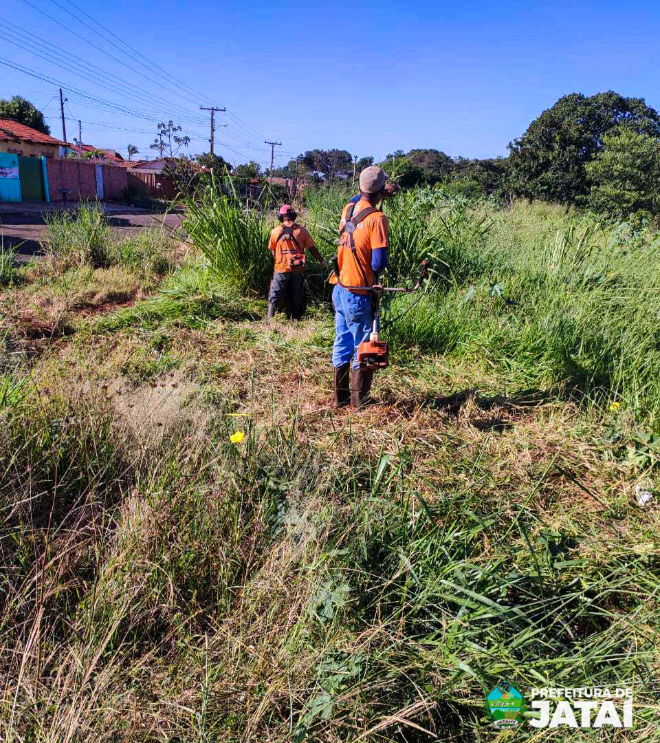 Prefeitura de Jataí realiza mutirão de poda e limpeza na Praça da Bíblia