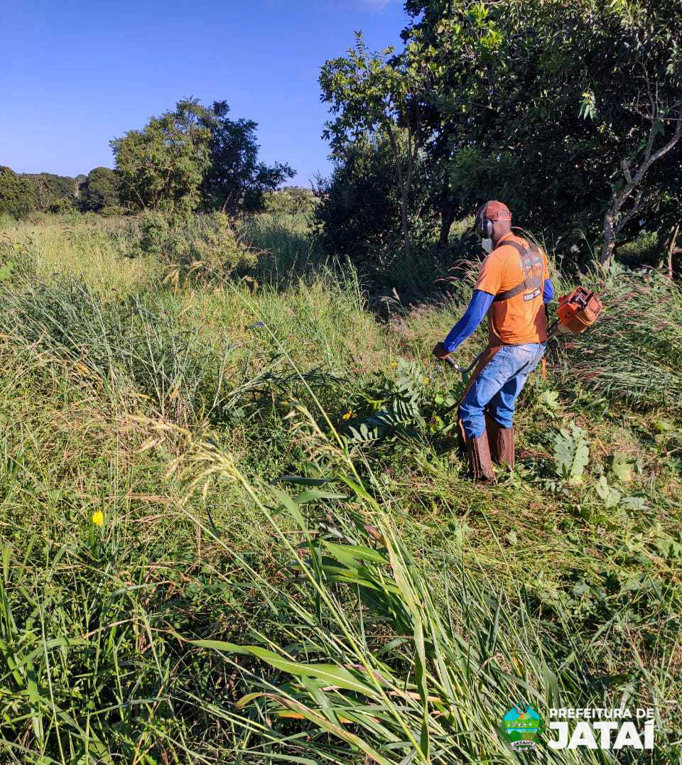 Prefeitura de Jataí realiza mutirão de poda e limpeza na Praça da Bíblia