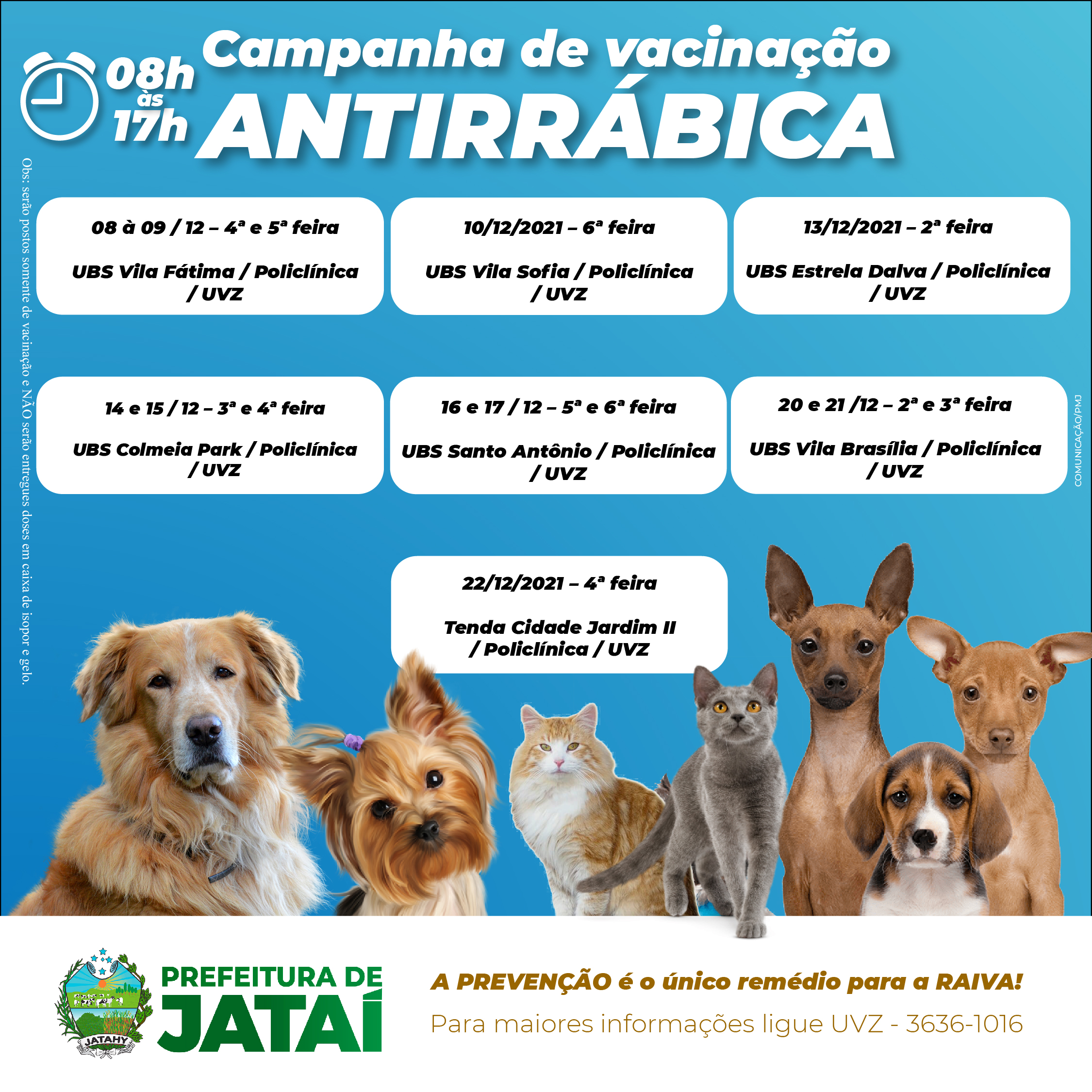 Adote Um Gatinho - Dia 6 de dezembro, domingo, das 10 às 18h no