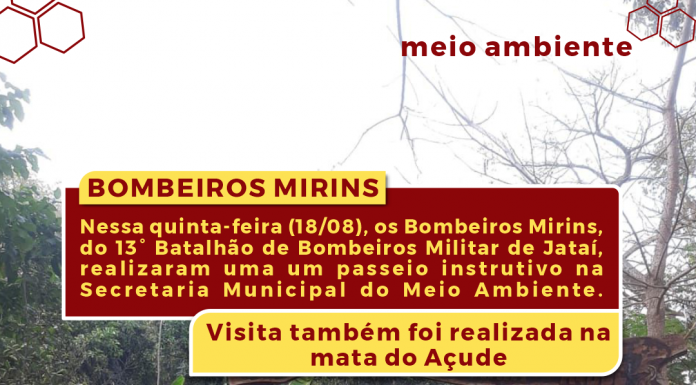 Mini-Curso: Desenho à Mão Livre no Paisagismo, Secretaria Municipal do  Verde e do Meio Ambiente