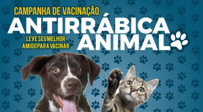Jogos de Animais  Biblioteca Pública e Arquivo Regional Luís da Silva  Ribeiro