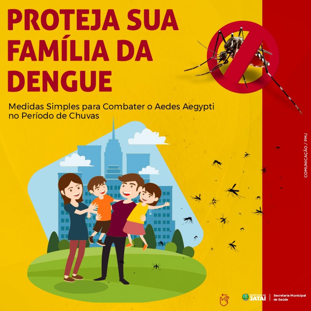 Protegiendo a tu familia: Medidas sencillas para controlar el Aedes aegypti durante la temporada de lluvias
