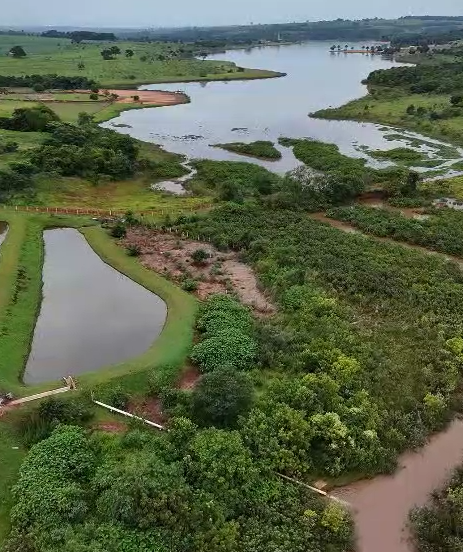 JATAÍ: PRIMEIRA SOLTURA DE PEIXES DO ANO NO LAGO BONSUCESSO | Prefeitura de Jataí